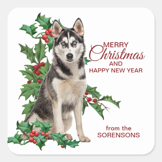 Siberian Husky Red Berry Holly Christmas Square Sticker (Front)