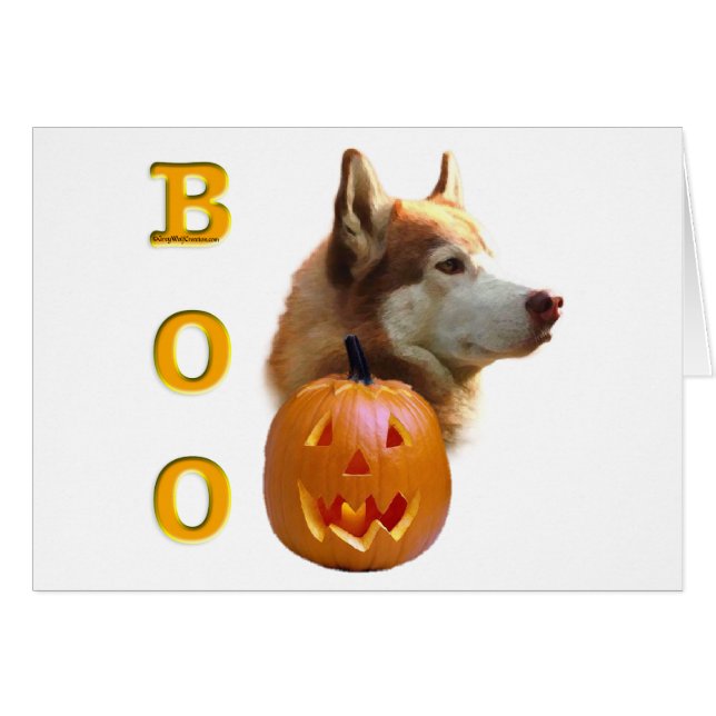 Siberian Husky (red) Boo (Front Horizontal)