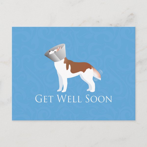 Husky Cards | Zazzle UK