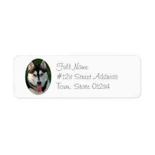 Siberian Husky Sled Dog Return Address Label