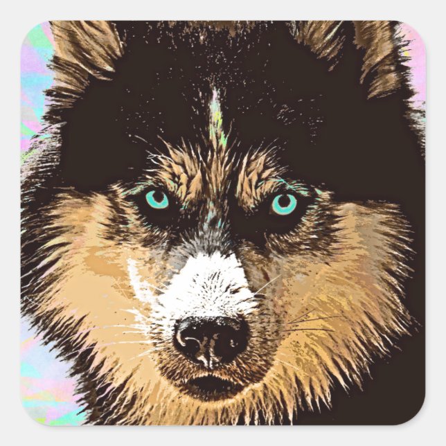 Siberian Husky Square Sticker (Front)