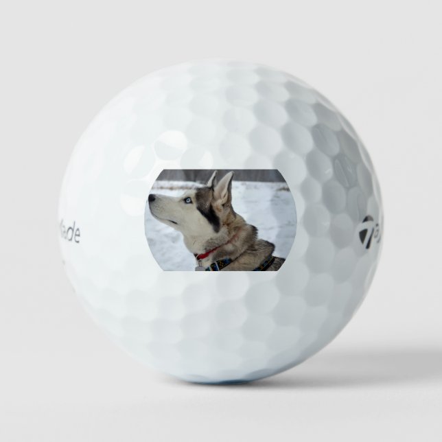 siberian husky third golf balls (Front)