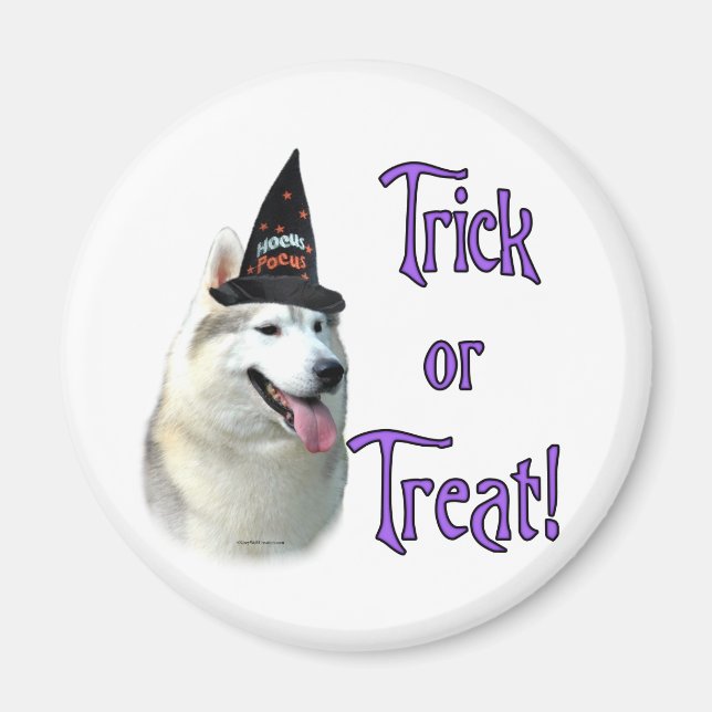 Siberian Husky Trick Magnet (Front)