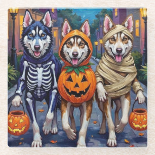Siberian Husky Trick-or-Treating Halloween Costume Glass Coaster
