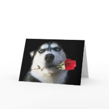 Siberian Husky Valentine's Day Card
