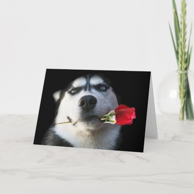 Siberian Husky Valentine's Day Card (Front)