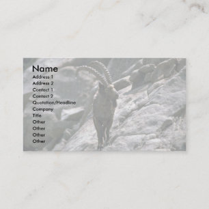 Siberian ibex business card