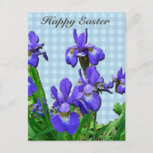 Siberian Iris Happy Easter Coordinated Items Holiday Postcard