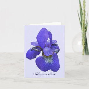 Siberian Iris Note Card