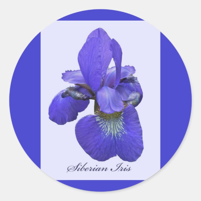 Siberian Iris Sticker (Front)