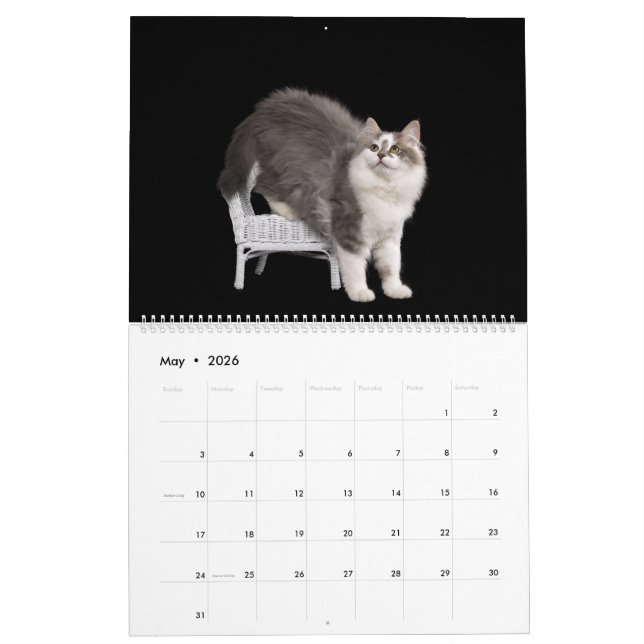 Siberian Kittens Calendar (May 2026)