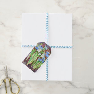 Siberian squill blue spring flower painting gift tags