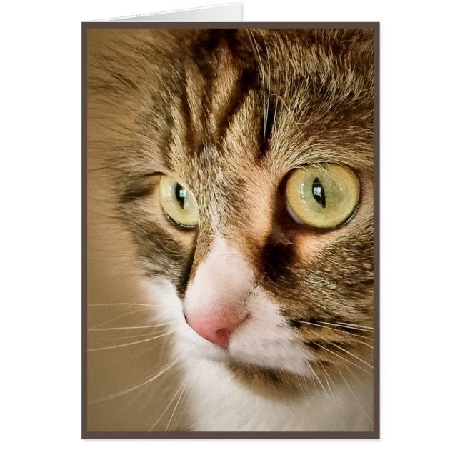 Siberian Thoughts (Blank Card) (Front)