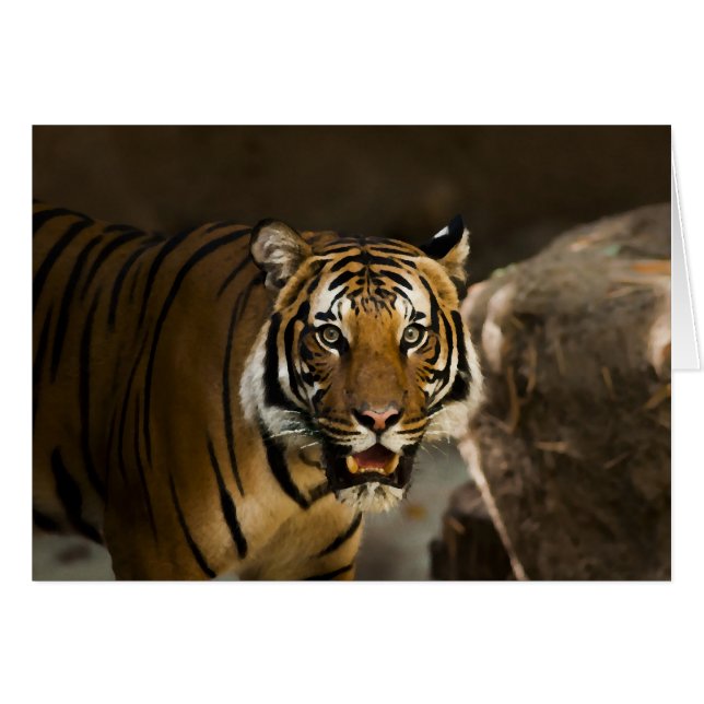 Siberian Tiger (Front Horizontal)