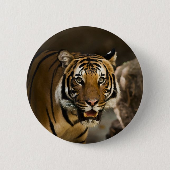 Siberian Tiger 6 Cm Round Badge (Front)