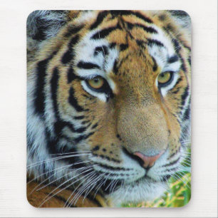 Siberian Tiger, Amur Tiger Mousepad