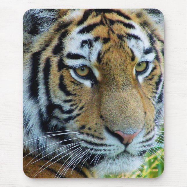 Siberian Tiger, Amur Tiger Mousepad (Front)