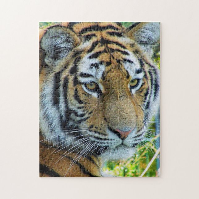 Siberian Tiger, Amur Tiger Puzzle (Vertical)