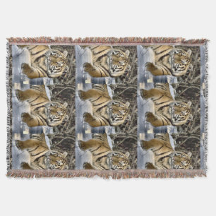 Siberian Tiger At Rest Throw Blanket