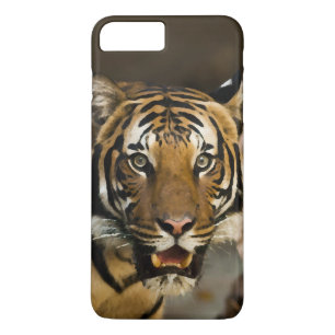 Siberian Tiger iPhone 8 Plus/7 Plus Case