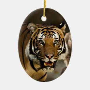 Siberian Tiger Ceramic Tree Decoration