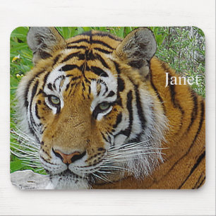 Siberian Tiger Closeup Photo of Face Mouse Mat
