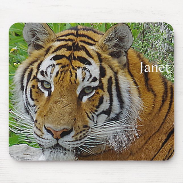 Siberian Tiger Closeup Photo of Face Mouse Mat (Front)
