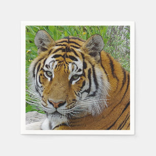 Siberian Tiger Closeup Photo of Face Napkin