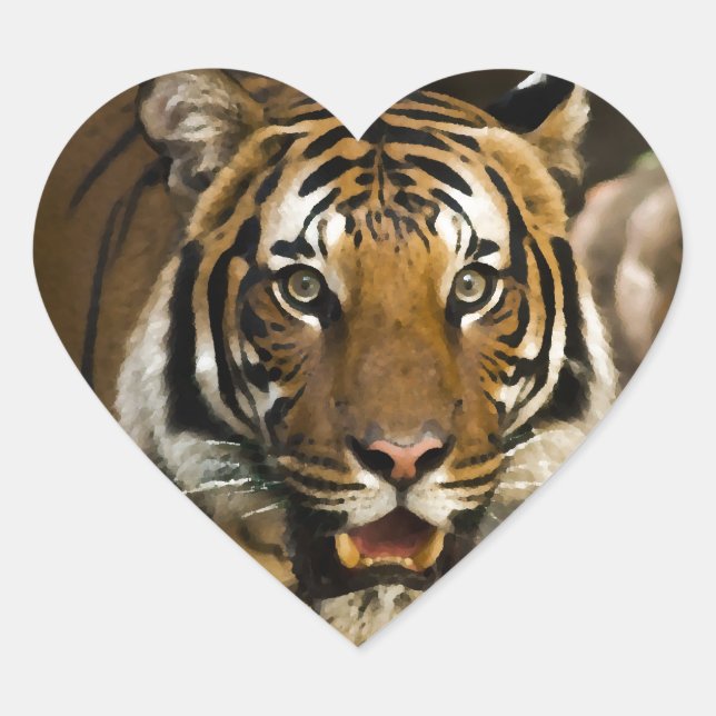 Siberian Tiger Heart Sticker (Front)