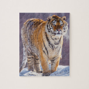 Siberian tiger in snow, China Jigsaw Puzzle
