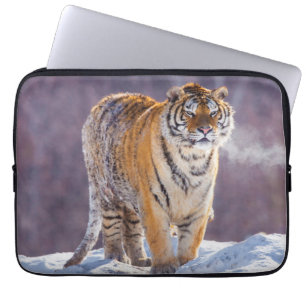 Siberian tiger in snow, China Laptop Sleeve