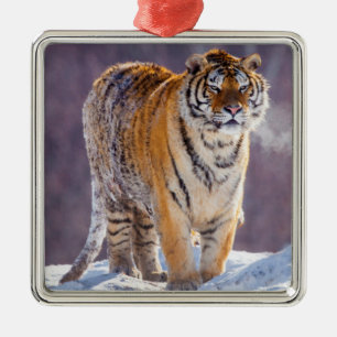 Siberian tiger in snow, China Metal Tree Decoration