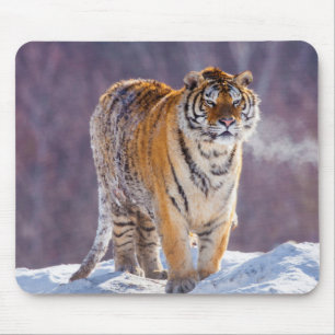 Siberian tiger in snow, China Mouse Mat