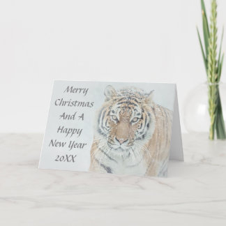 Siberian Tiger In Snow Christmas Card