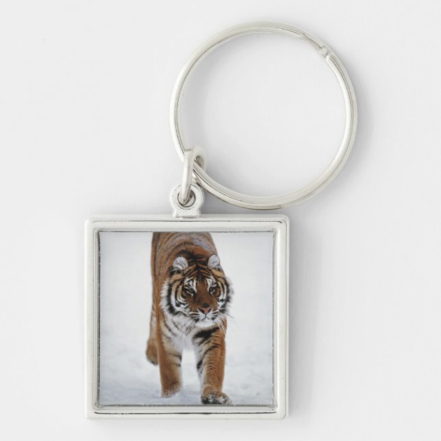 Siberian Tiger In Snow Key Ring (Front)