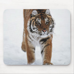 Siberian Tiger In Snow Mouse Mat