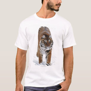 Siberian Tiger In Snow T-Shirt