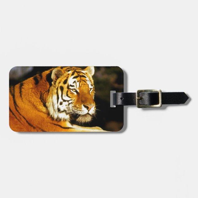 Siberian Tiger in the evening Luggage Tag (Front Horizontal)