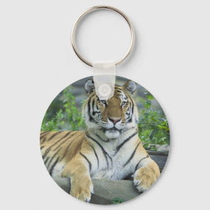 Siberian Tiger Key Ring