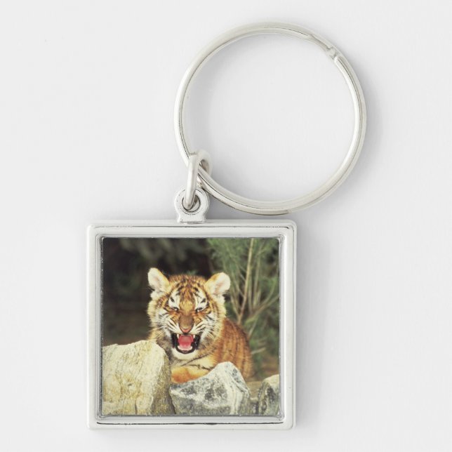Siberian Tiger Key Ring (Front)
