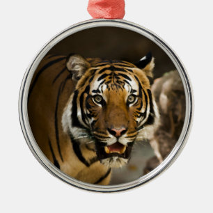 Siberian Tiger Metal Tree Decoration