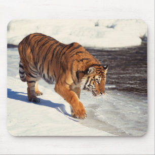 Siberian tiger mouse mat