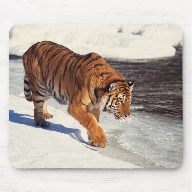 Siberian tiger mouse mat (Front)