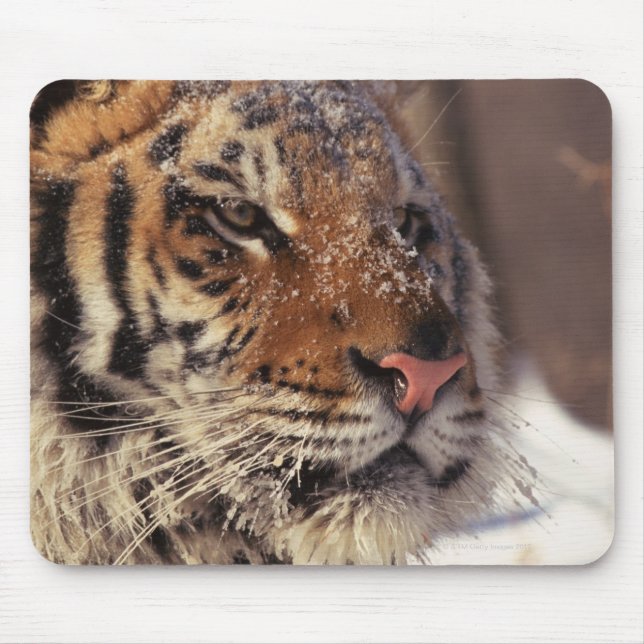 Siberian tiger mouse mat (Front)