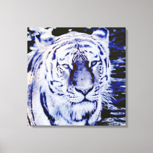 siberian tiger on wrapped  canvas print