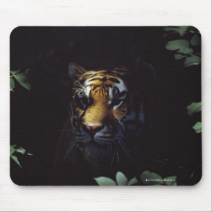 Siberian Tiger (Panthera Tigris Altaica) Peers Mouse Mat
