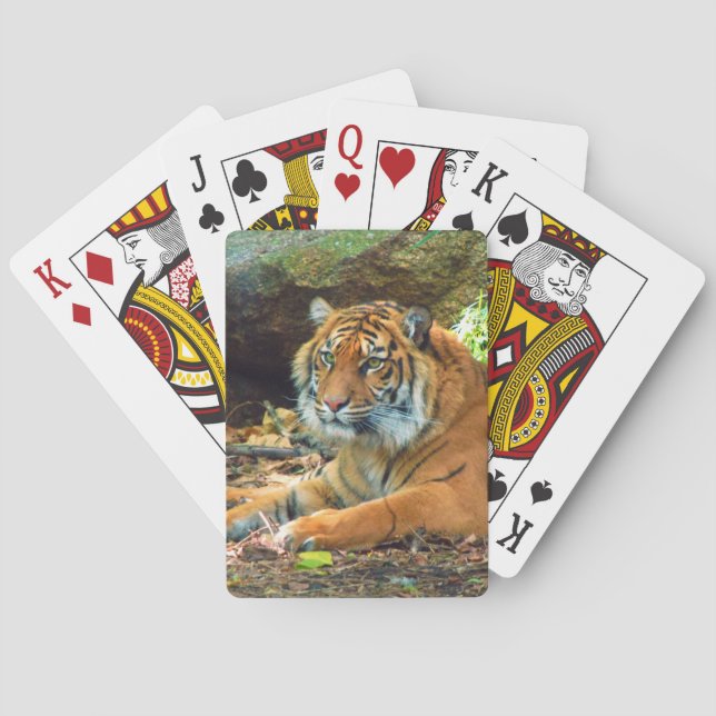 Siberian Tiger Playing Cards (Back)