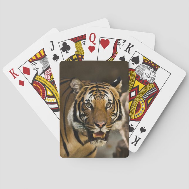 Siberian Tiger Playing Cards (Back)