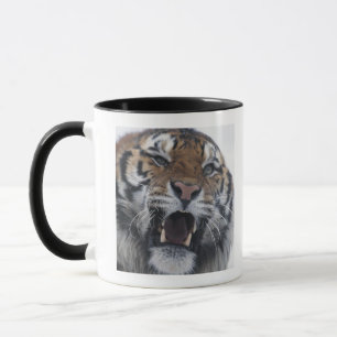 Siberian Tiger Snarling Mug