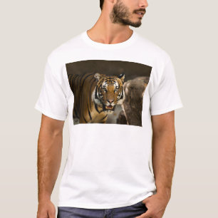 Siberian Tiger T-Shirt